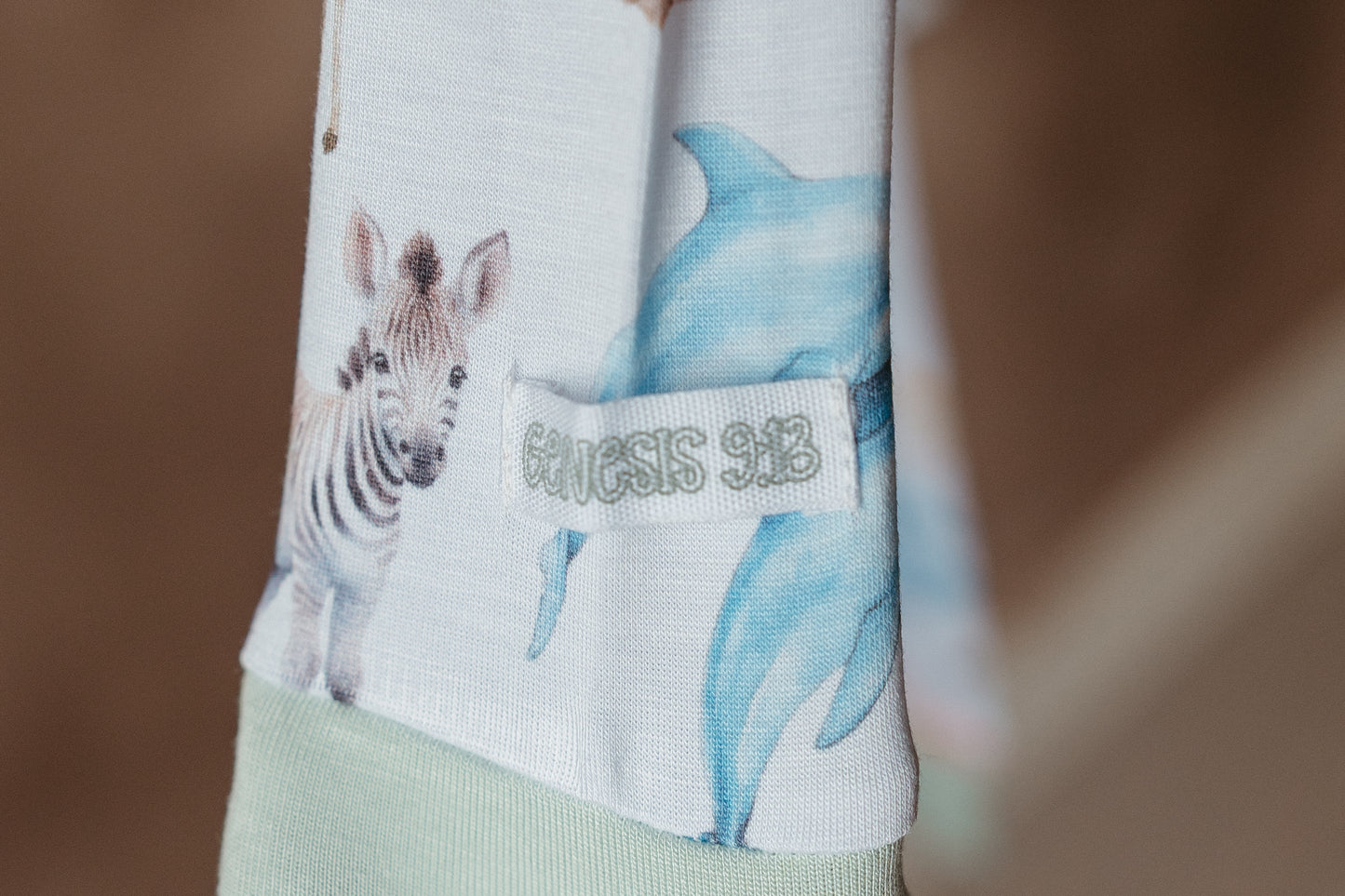 God's Little Promise Bamboo 2 Piece Pajama Set