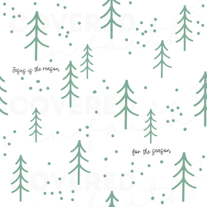 Jesus is the Reason for the Season Minky Blanket