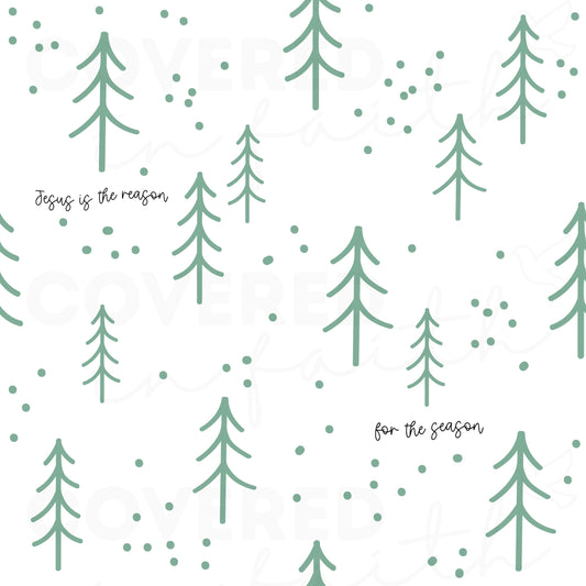 Jesus is the Reason for the Season Minky Blanket